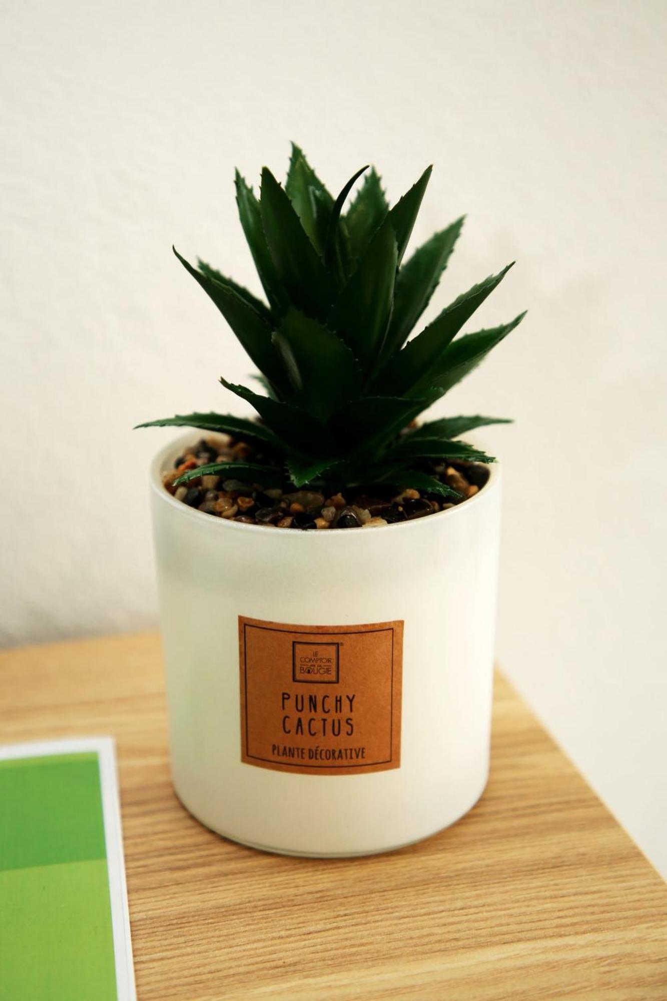 Apartamento Mae De Deus Ponta Delgada Exteriér fotografie